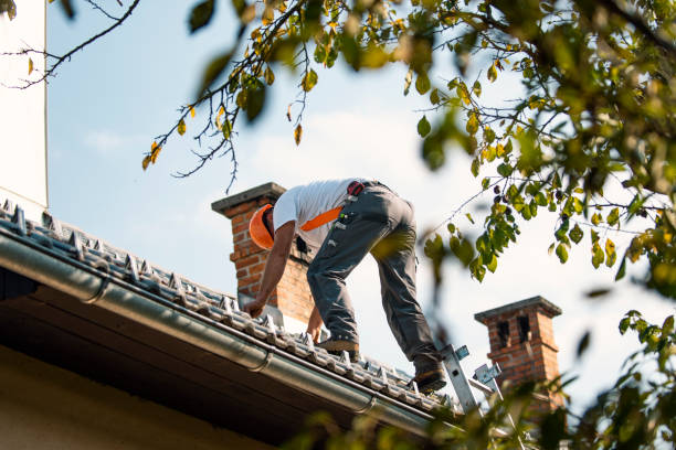Best Local Roofing Companies  in Lake Orion, MI